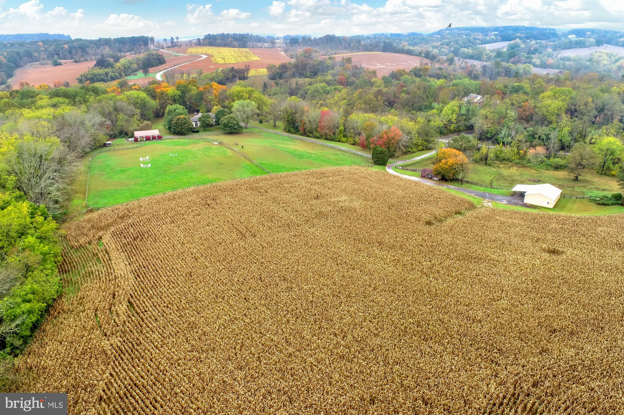 Spectacular 36+ acre horse-ready farm!