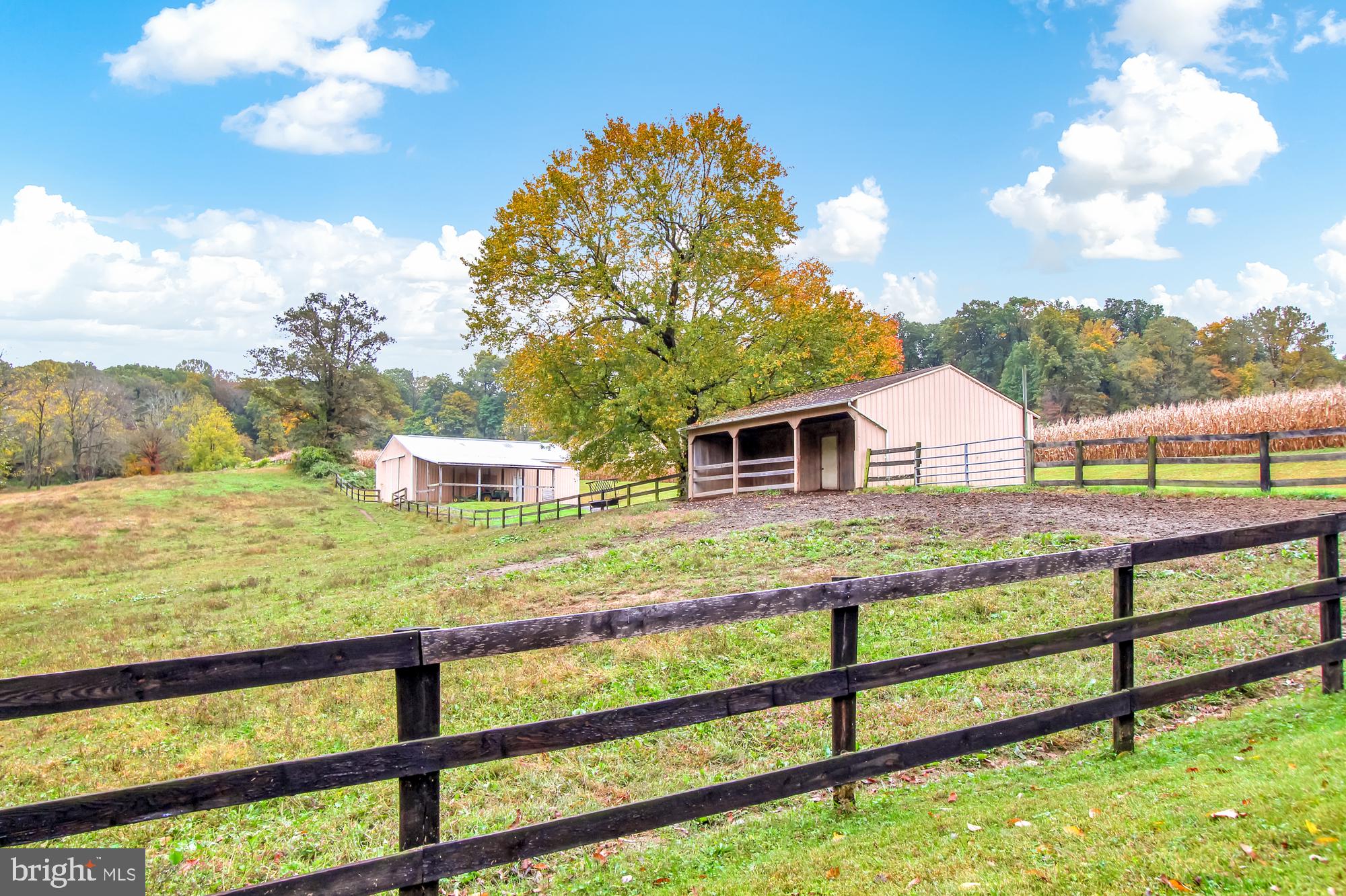 5  fields, 3 board fence,  2 barns, & a run-in.