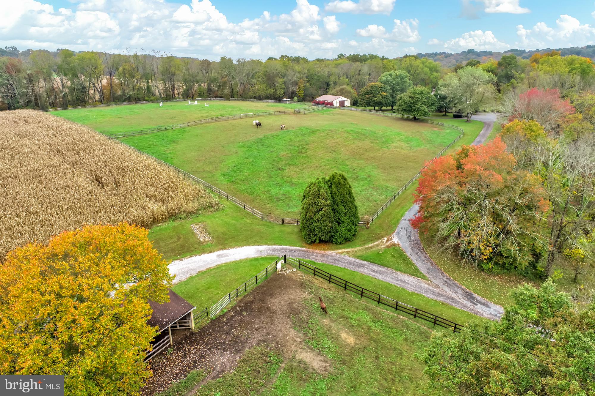 18902 Vernon Road White Hall, MD 21161 - Photo 40 of 69 The land could not be any prettier...