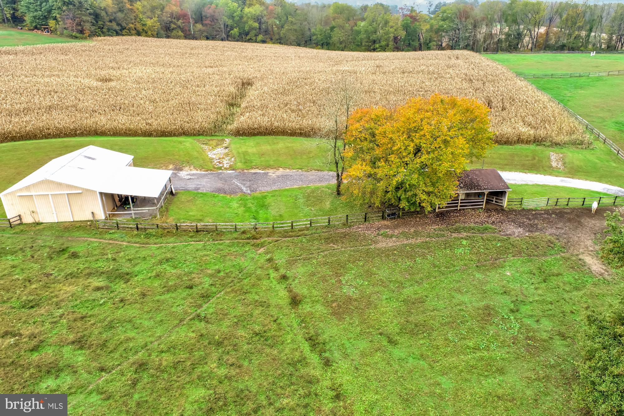 18902 Vernon Road White Hall, MD 21161 - Photo 64 of 69 The second barn, pasture, & some tillable land.