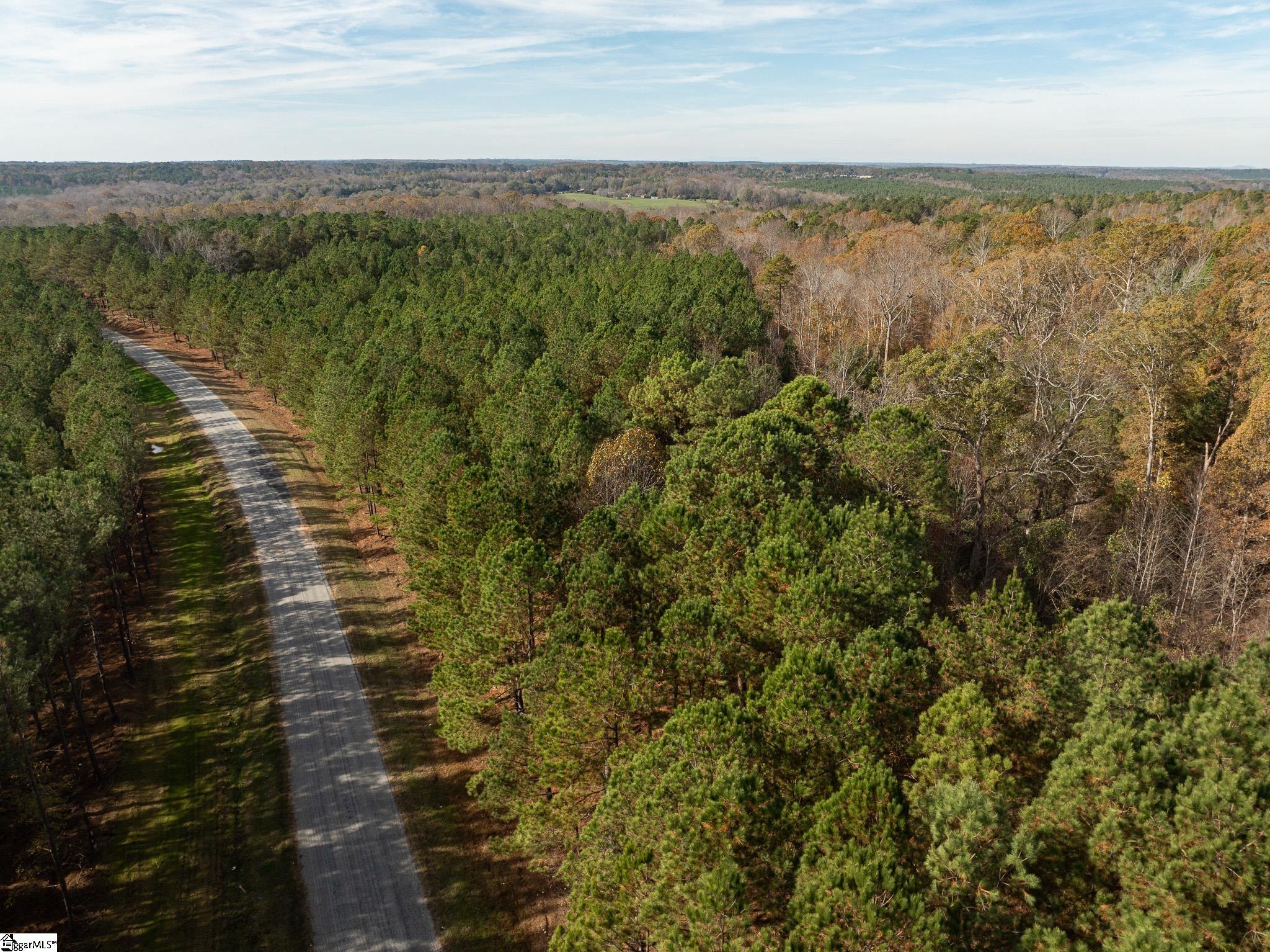 0 Elford Grove Road, Unit TRACT 5 Jonesville, SC 29353 - Photo 23 of 24 Gallery Image 23