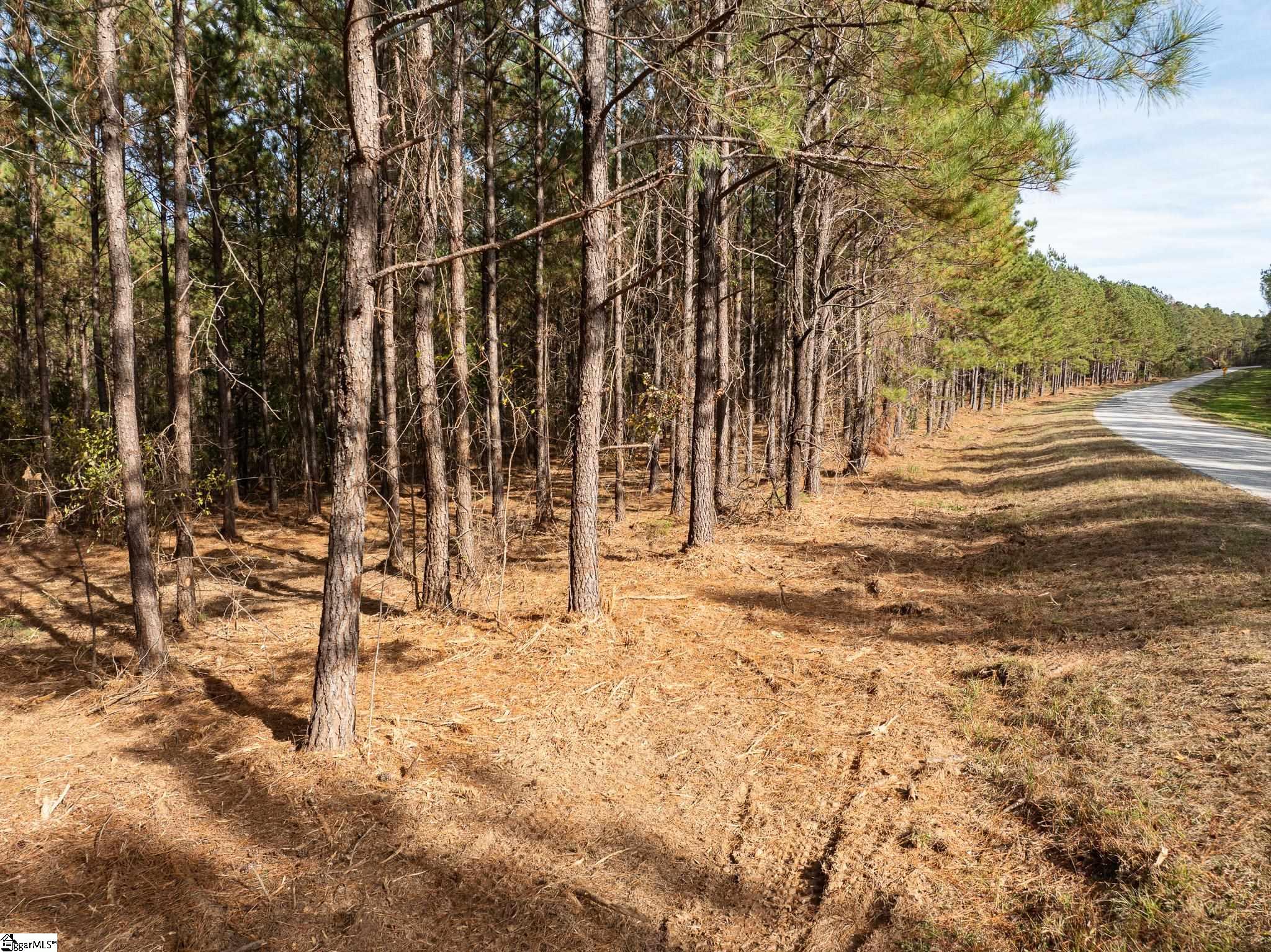 0 Elford Grove Road, Unit TRACT 5 Jonesville, SC 29353 - Photo 10 of 24 Gallery Image 10