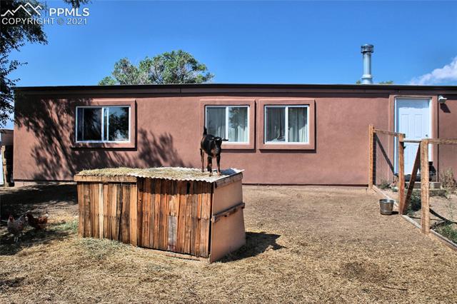 6095 West Condor Road Peyton, CO 80831 - Photo 28 of 33 Goat having fun.