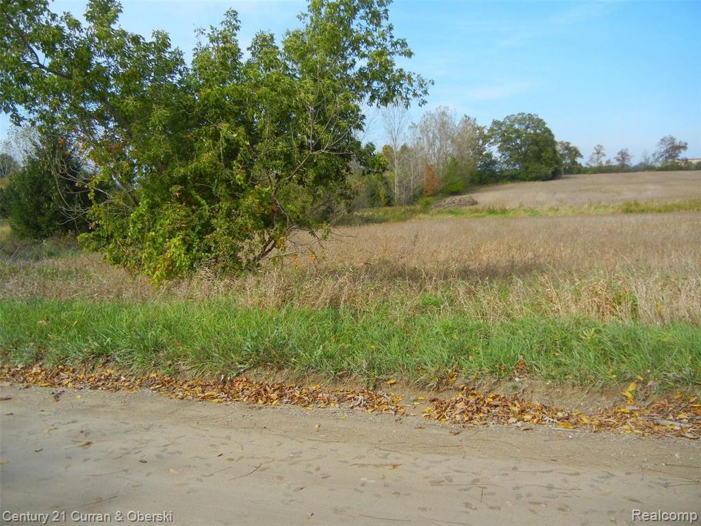 0 South Zeeb Road Ann Arbor, MI 48103 - Photo 3 of 14