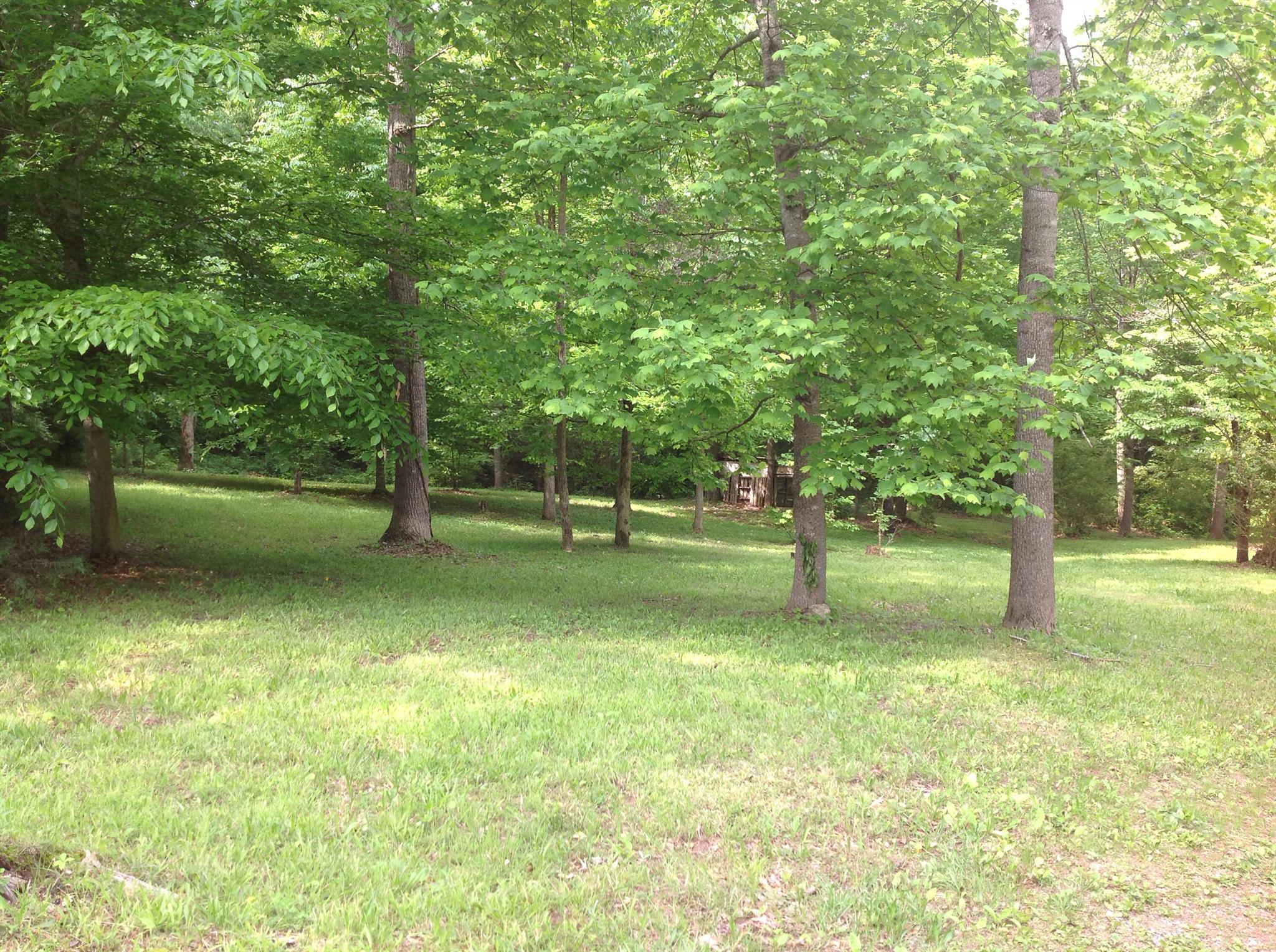 1052 Caps Ridge Dickson, TN 37055 - Photo 3 of 5