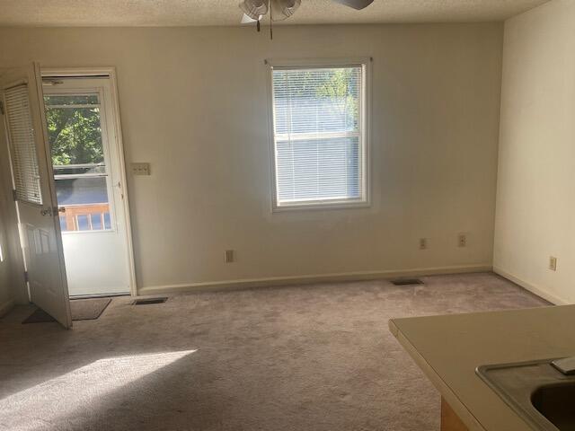 100 Canzada Place Erwin, TN 37650 - Photo 3 of 8 IMG_3613