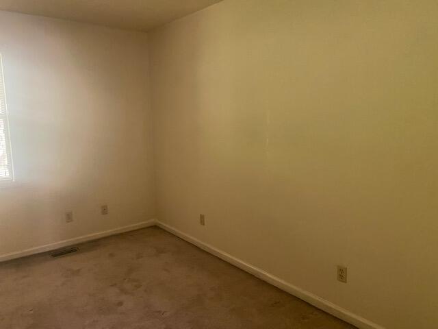 100 Canzada Place Erwin, TN 37650 - Photo 7 of 8 IMG_3610