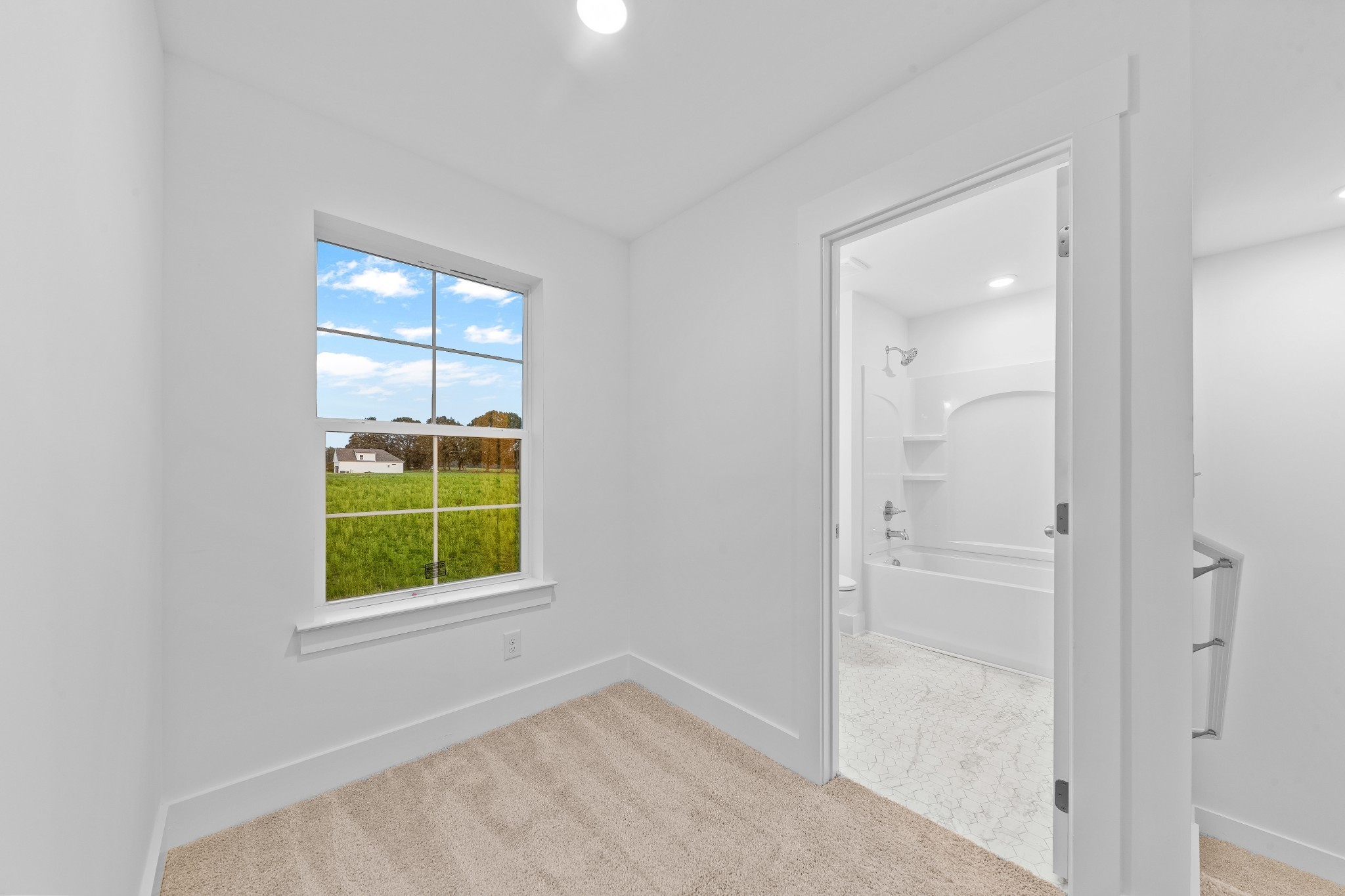 232 Dugout Road Summertown, TN 38483 - Photo 61 of 70 an empty room with windows and closet