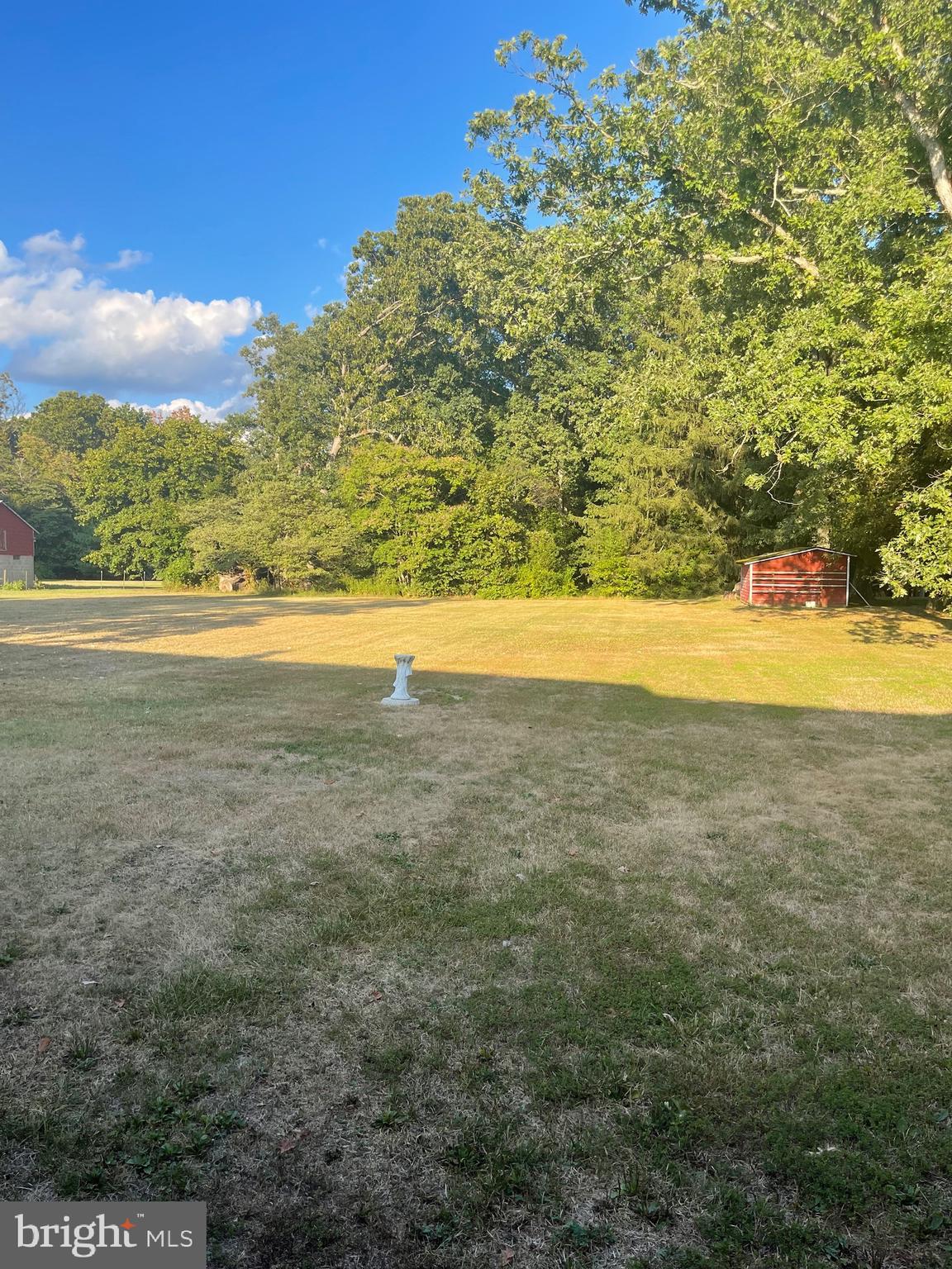 858 Buck Road Elmer, NJ 08318 - Photo 8 of 36 backyard