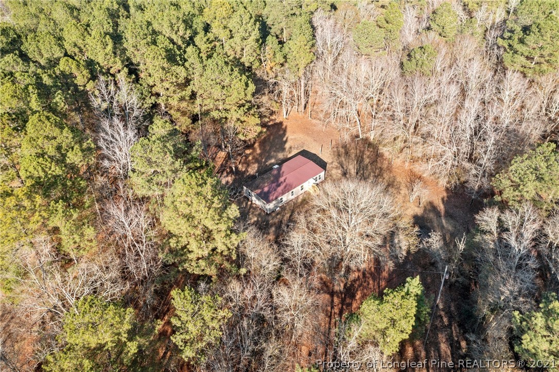 1650 Yellow Skin Road Autryville, NC 28318 - Photo 2 of 32 a view of a tree