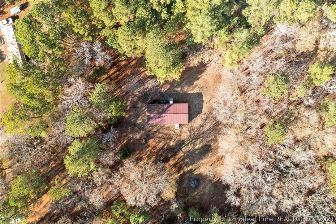 1650 Yellow Skin Road Autryville, NC 28318 - Photo 6 of 32 a building view with a tree