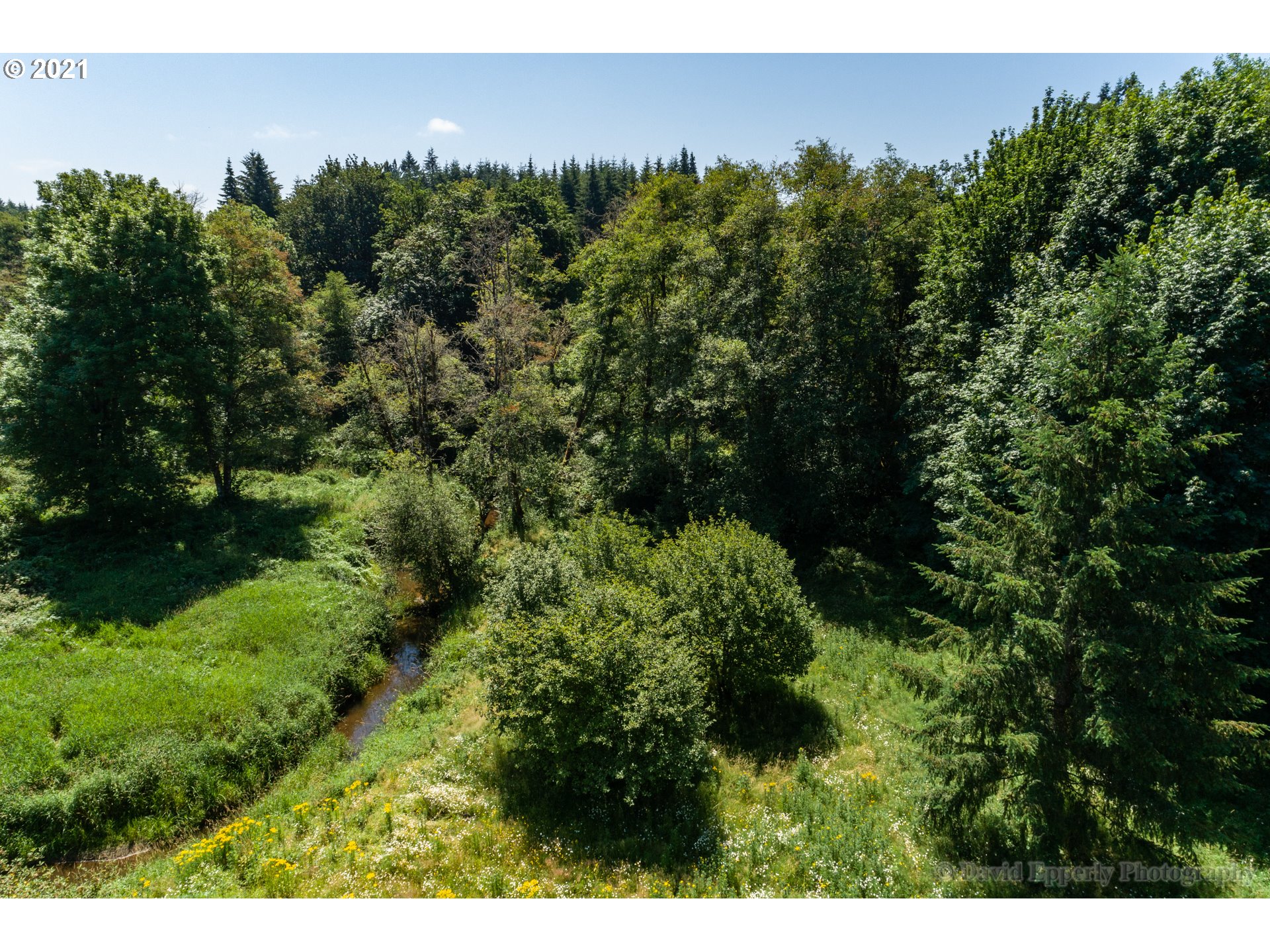 65310 McDermott Road Deer Island, OR 97054 - Photo 22 of 26 Gallery Image 22