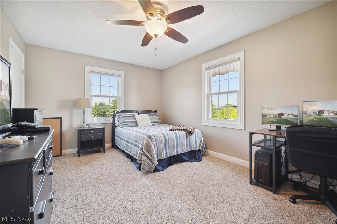 14001 Mason Road Vermilion, OH 44089 - Photo 8 of 22 Bedroom with multiple windows, light carpet, and ceiling fan