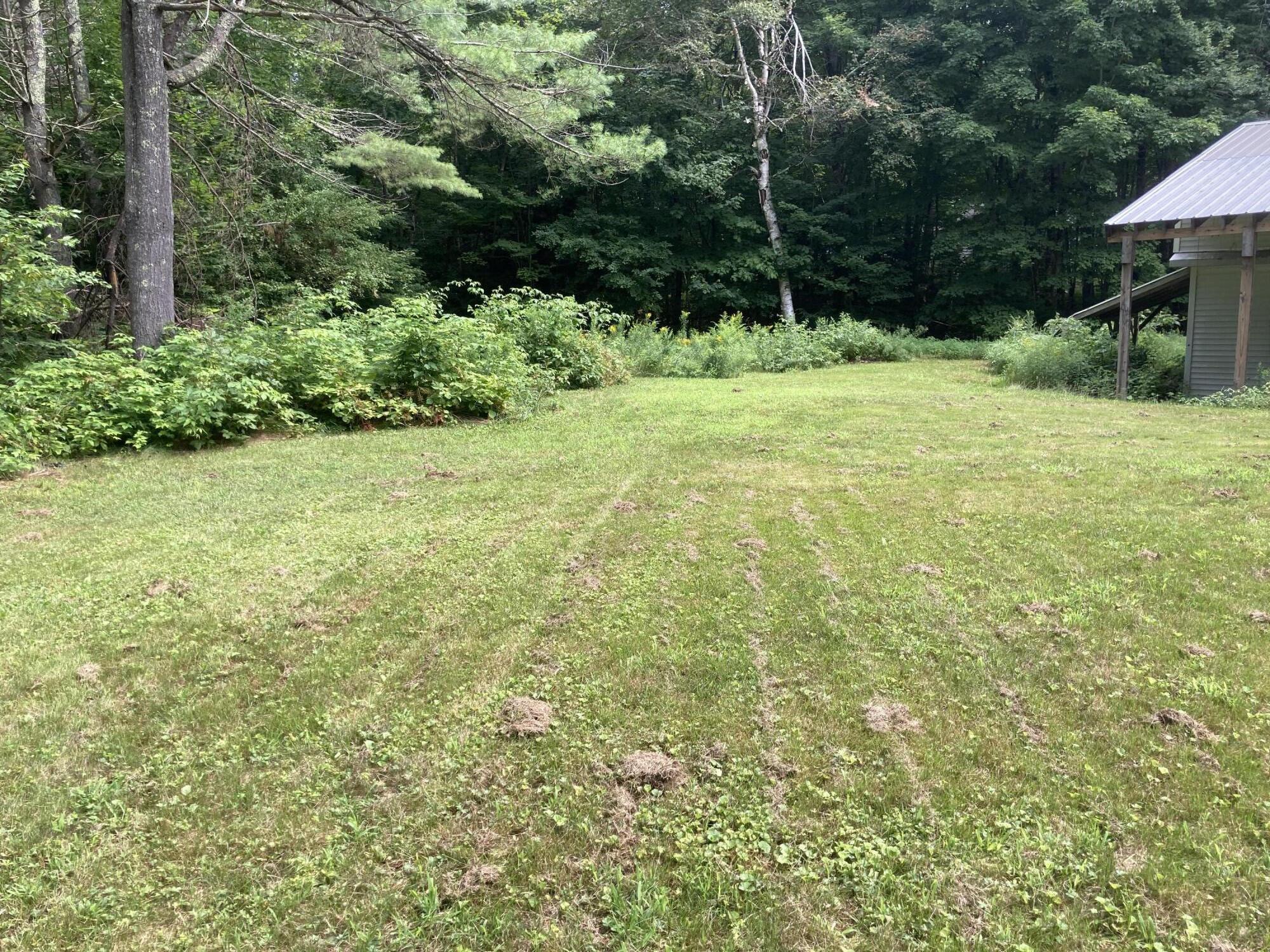 85 Arnold Road South China, ME 04358 - Photo 7 of 29 Rear yard