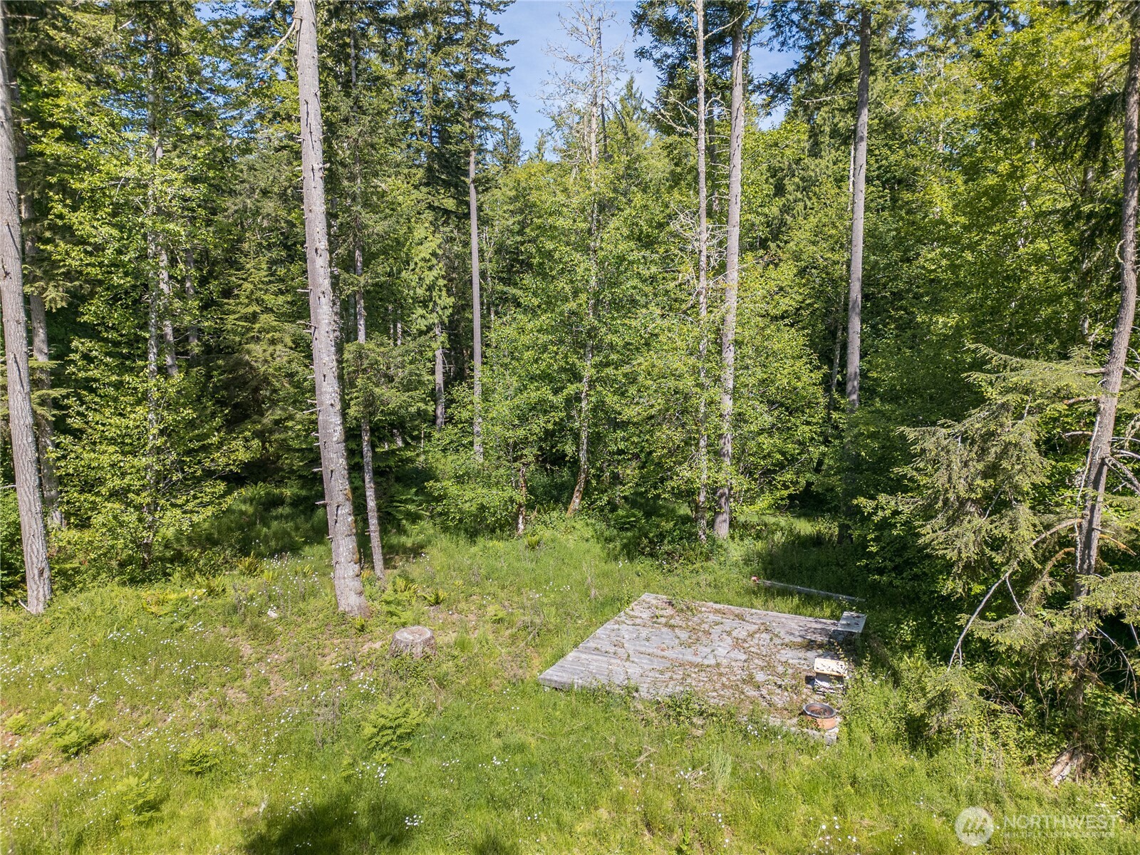 0 Durrwachter Road Port Angeles, WA 98363 - Photo 9 of 33 Gallery Image 9