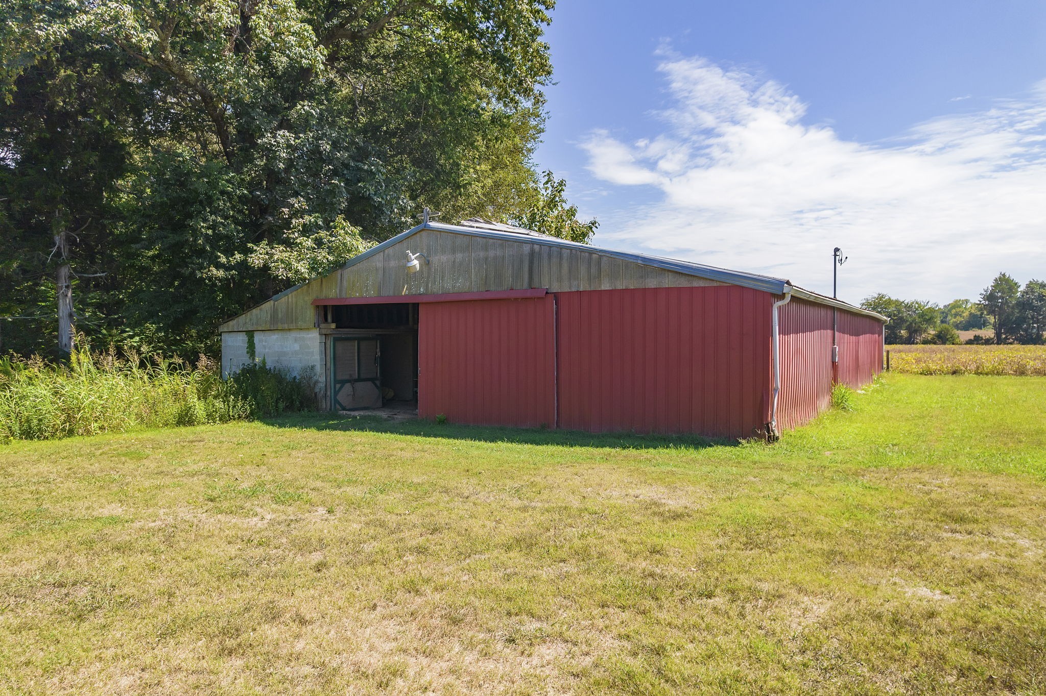 290 Leeford Lane Cedar Grove, TN 38321 - Photo 18 of 54 a backyard of a house with lots of green space