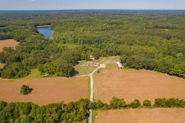 a view of a field with an ocean