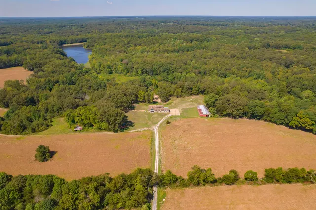 a view of a field with an ocean