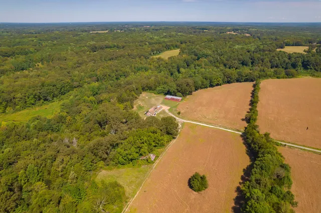 a view of a lake with a city