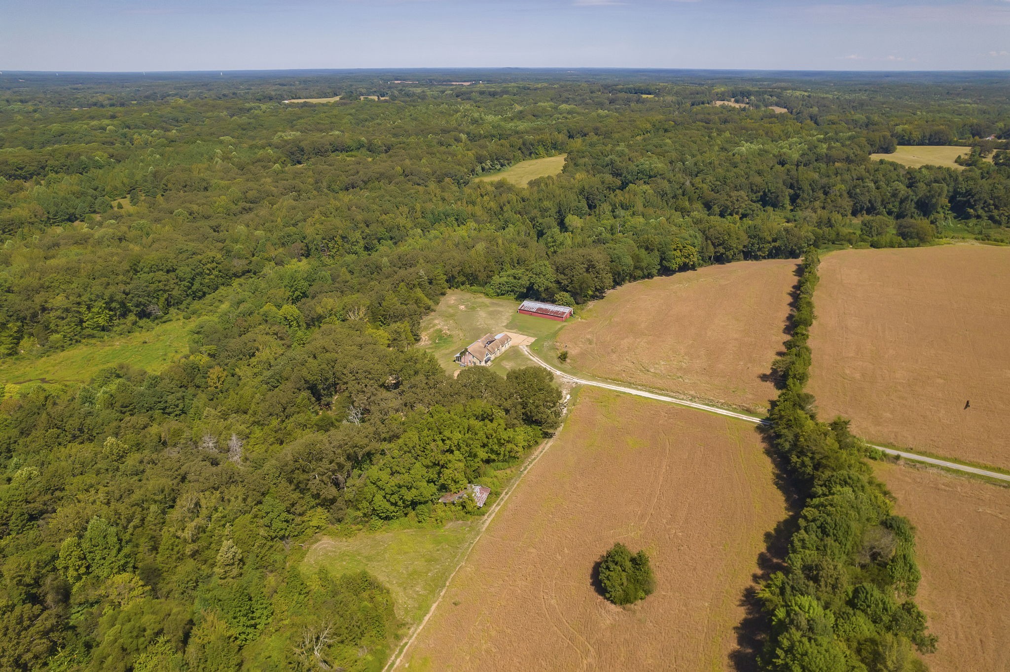 290 Leeford Lane Cedar Grove, TN 38321 - Photo 2 of 54 a view of a city