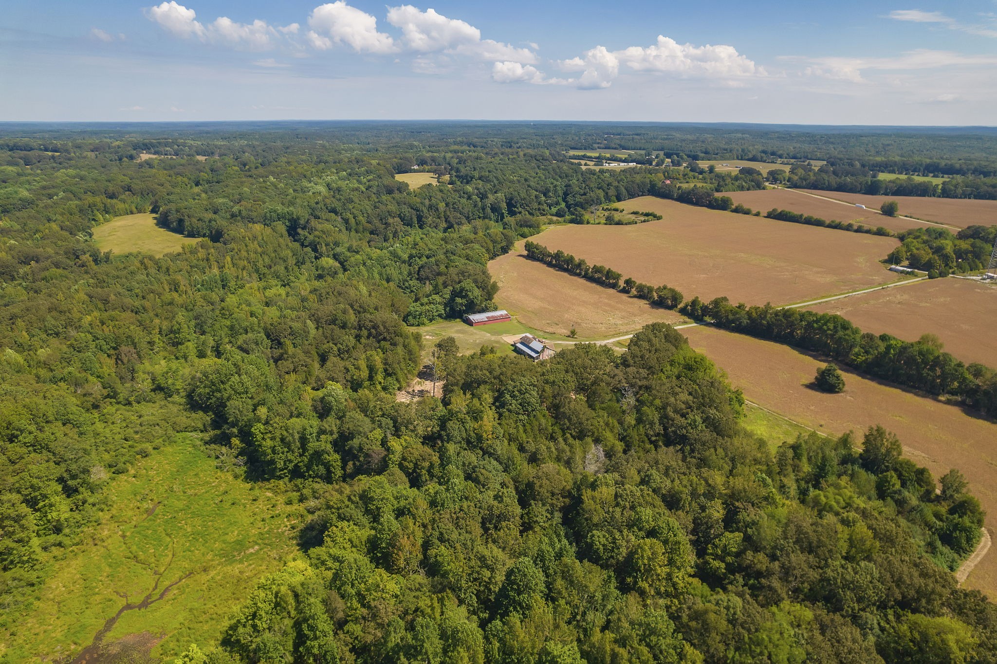 290 Leeford Lane Cedar Grove, TN 38321 - Photo 4 of 54 a view of a city