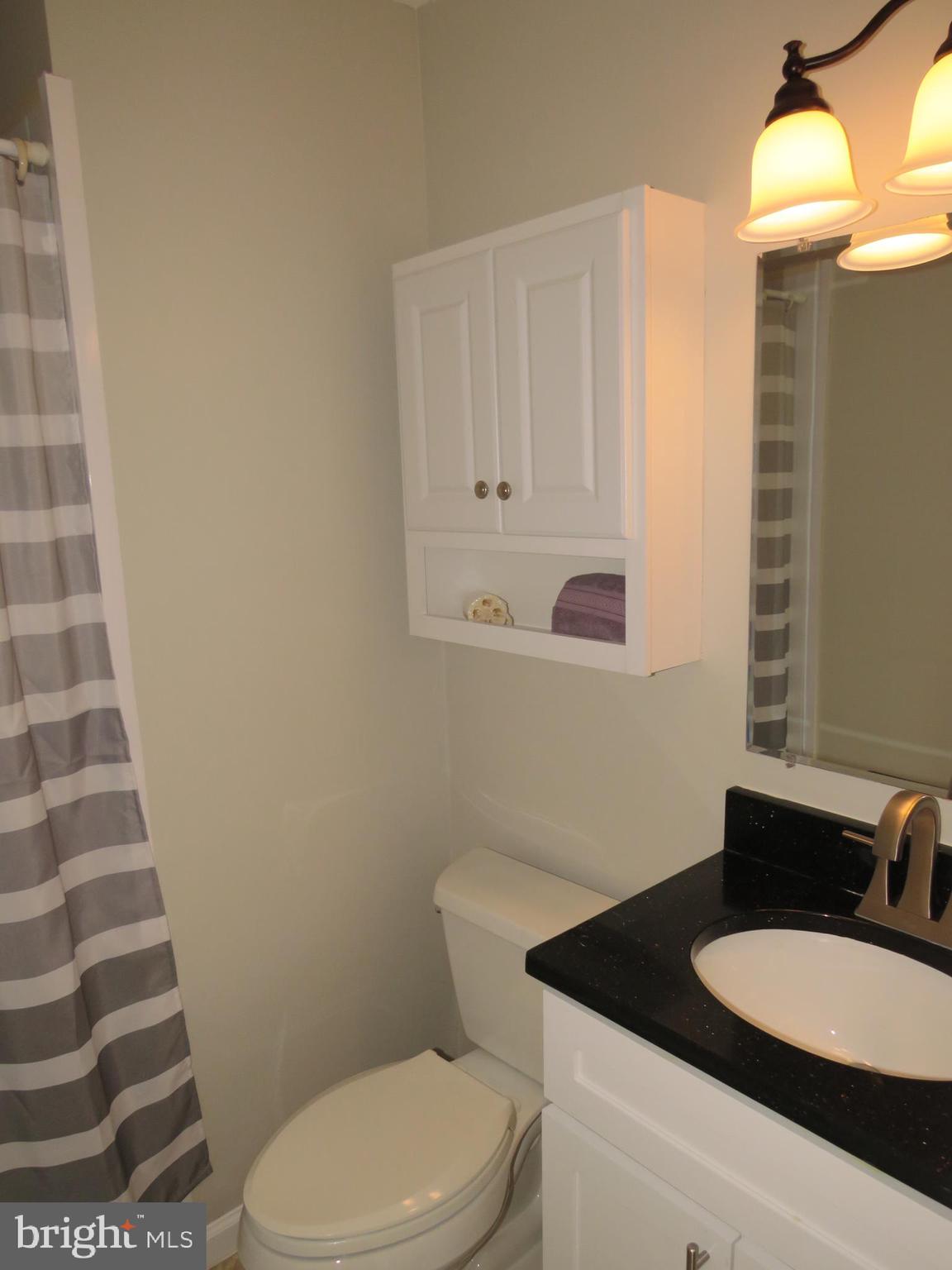 1709 Ivy Oak Square, Unit 18 Reston, VA 20190 - Photo 14 of 22 Owners Bath