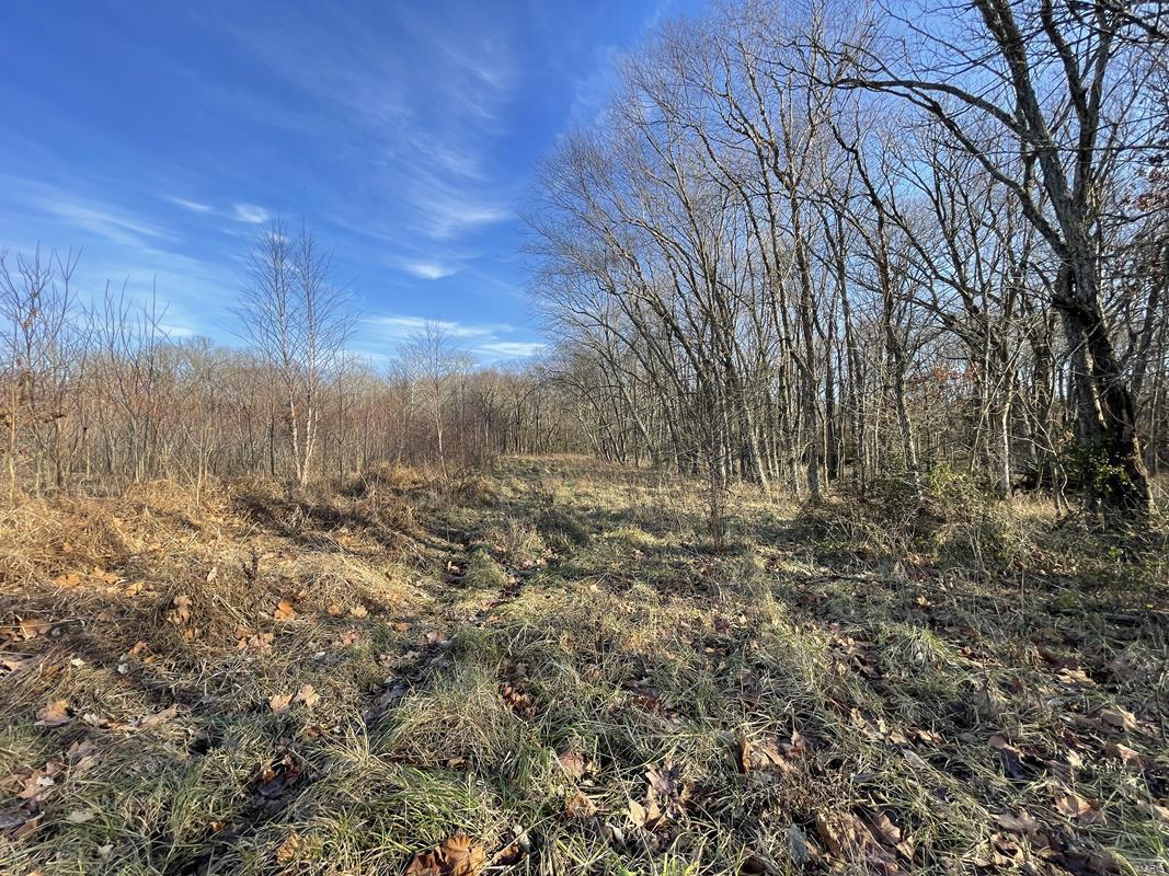 0 Blue Mound Road Rinard, IL 62878 - Photo 1 of 44