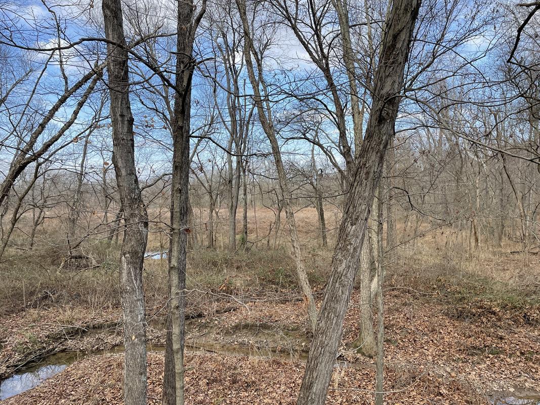 0 Blue Mound Road Rinard, IL 62878 - Photo 13 of 44