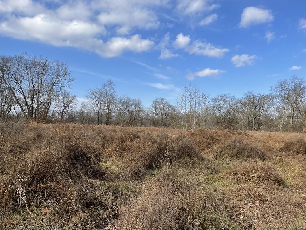0 Blue Mound Road Rinard, IL 62878 - Photo 15 of 44