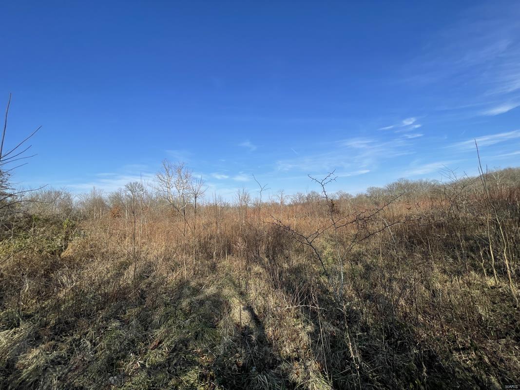 0 Blue Mound Road Rinard, IL 62878 - Photo 2 of 44