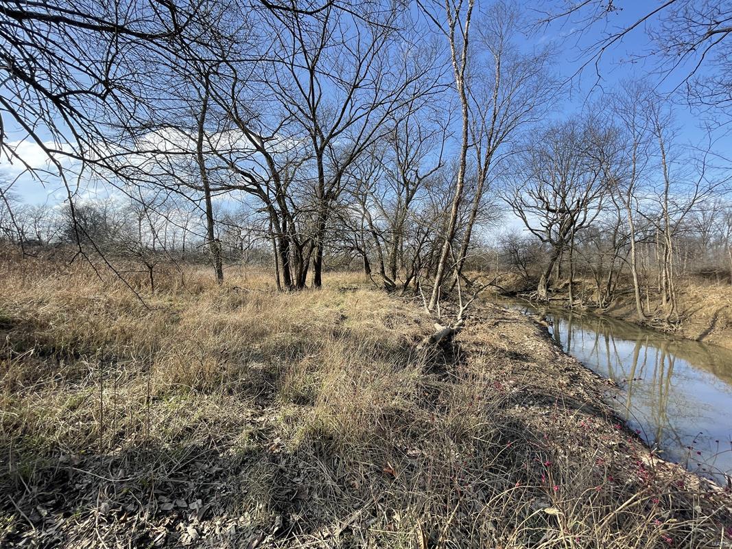 0 Blue Mound Road Rinard, IL 62878 - Photo 22 of 44