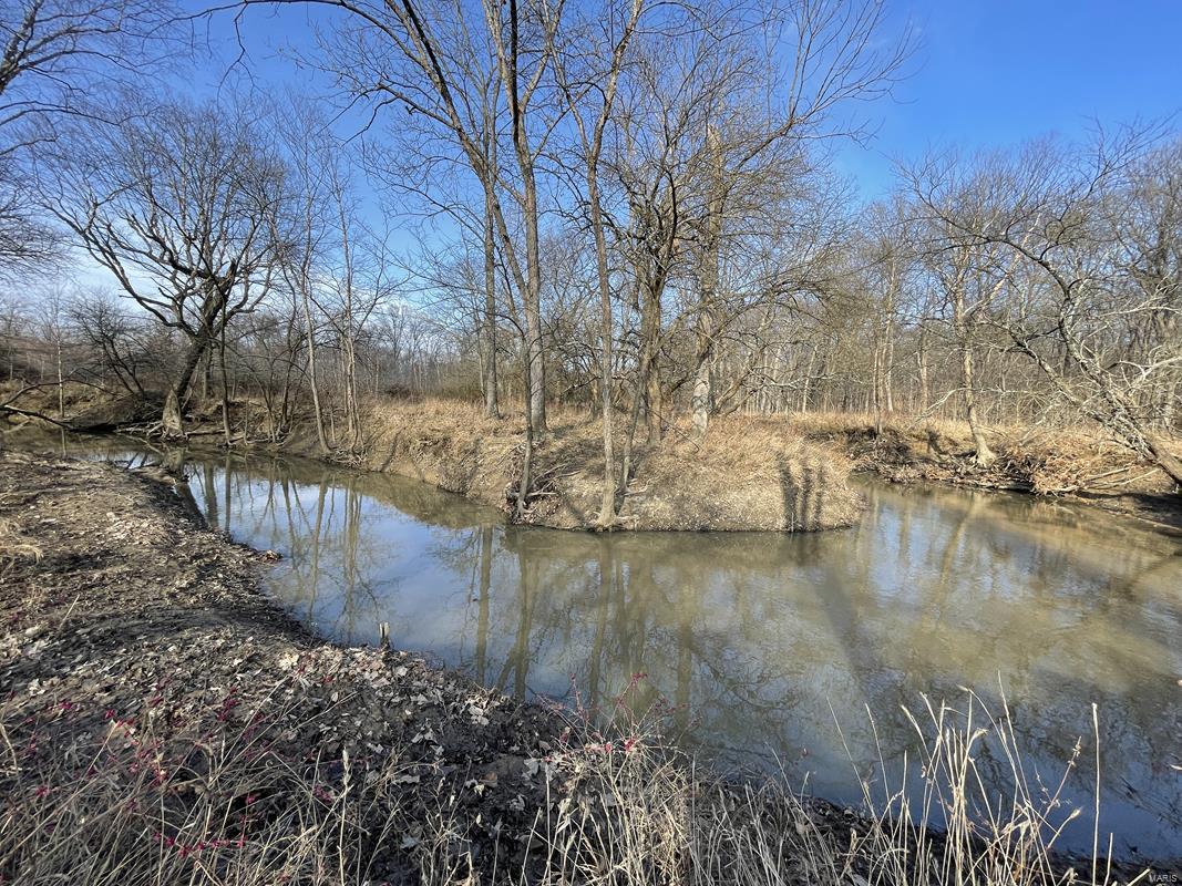 0 Blue Mound Road Rinard, IL 62878 - Photo 23 of 44