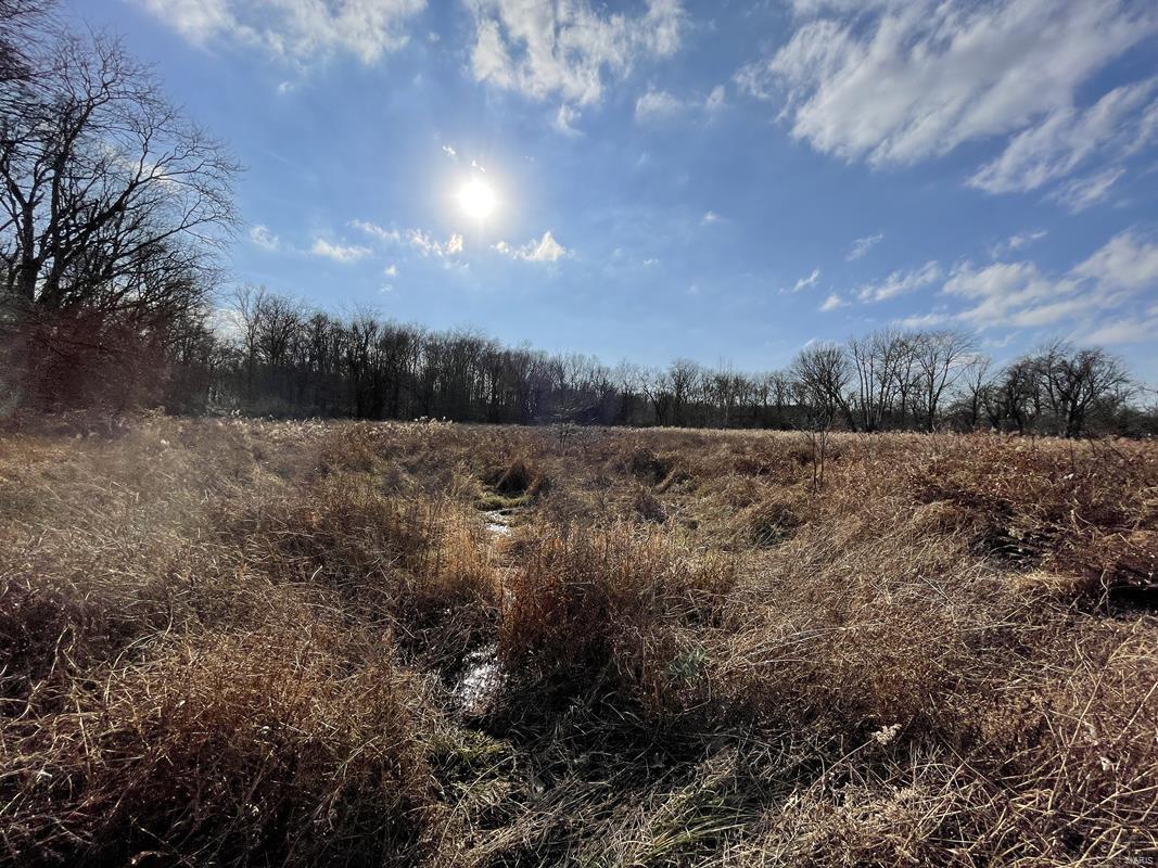 0 Blue Mound Road Rinard, IL 62878 - Photo 25 of 44