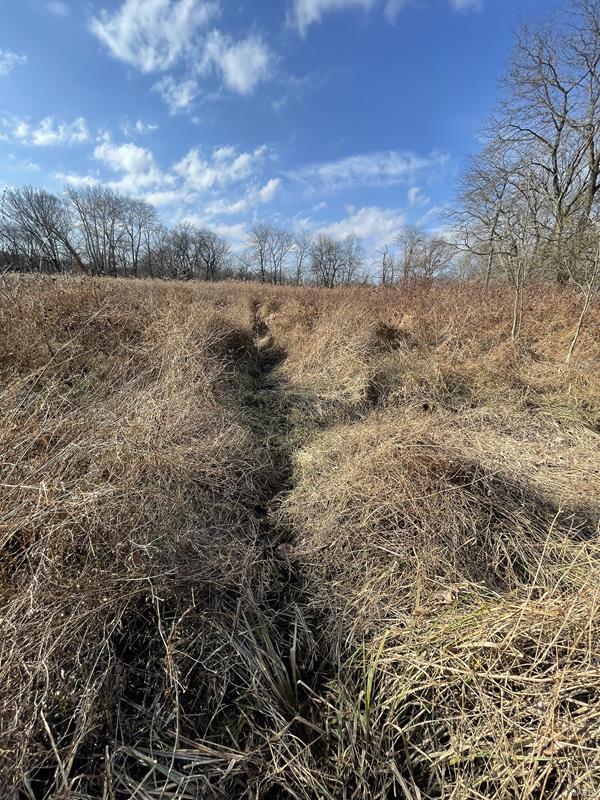 0 Blue Mound Road Rinard, IL 62878 - Photo 26 of 44