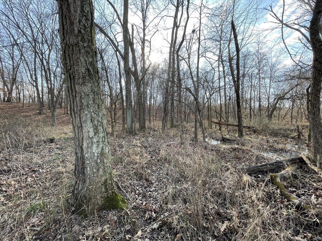 0 Blue Mound Road Rinard, IL 62878 - Photo 29 of 44