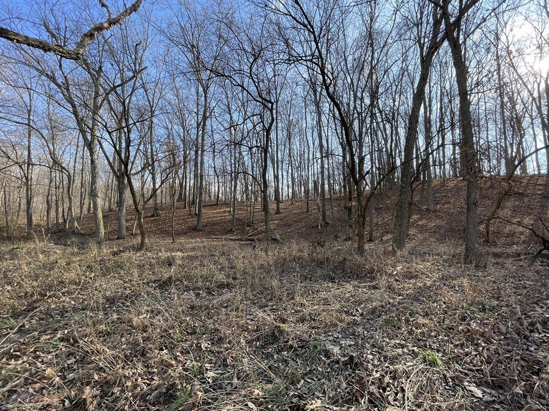 0 Blue Mound Road Rinard, IL 62878 - Photo 31 of 44