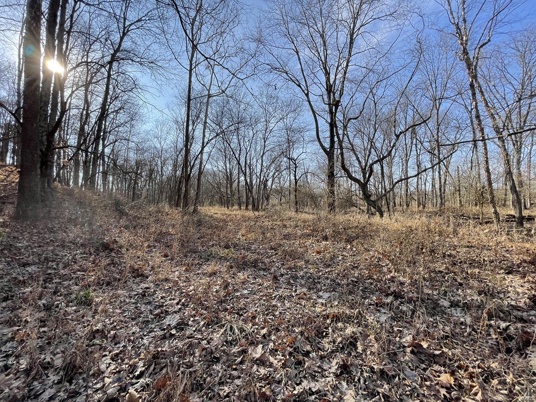 0 Blue Mound Road Rinard, IL 62878 - Photo 33 of 44