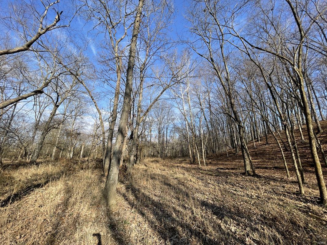 0 Blue Mound Road Rinard, IL 62878 - Photo 34 of 44