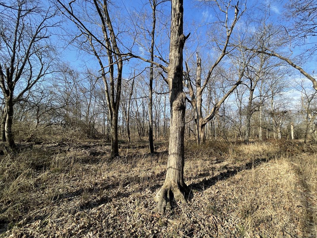 0 Blue Mound Road Rinard, IL 62878 - Photo 35 of 44