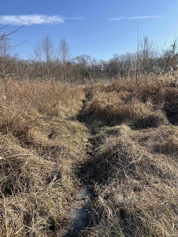 0 Blue Mound Road Rinard, IL 62878 - Photo 36 of 44