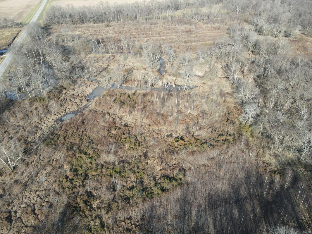 0 Blue Mound Road Rinard, IL 62878 - Photo 39 of 44