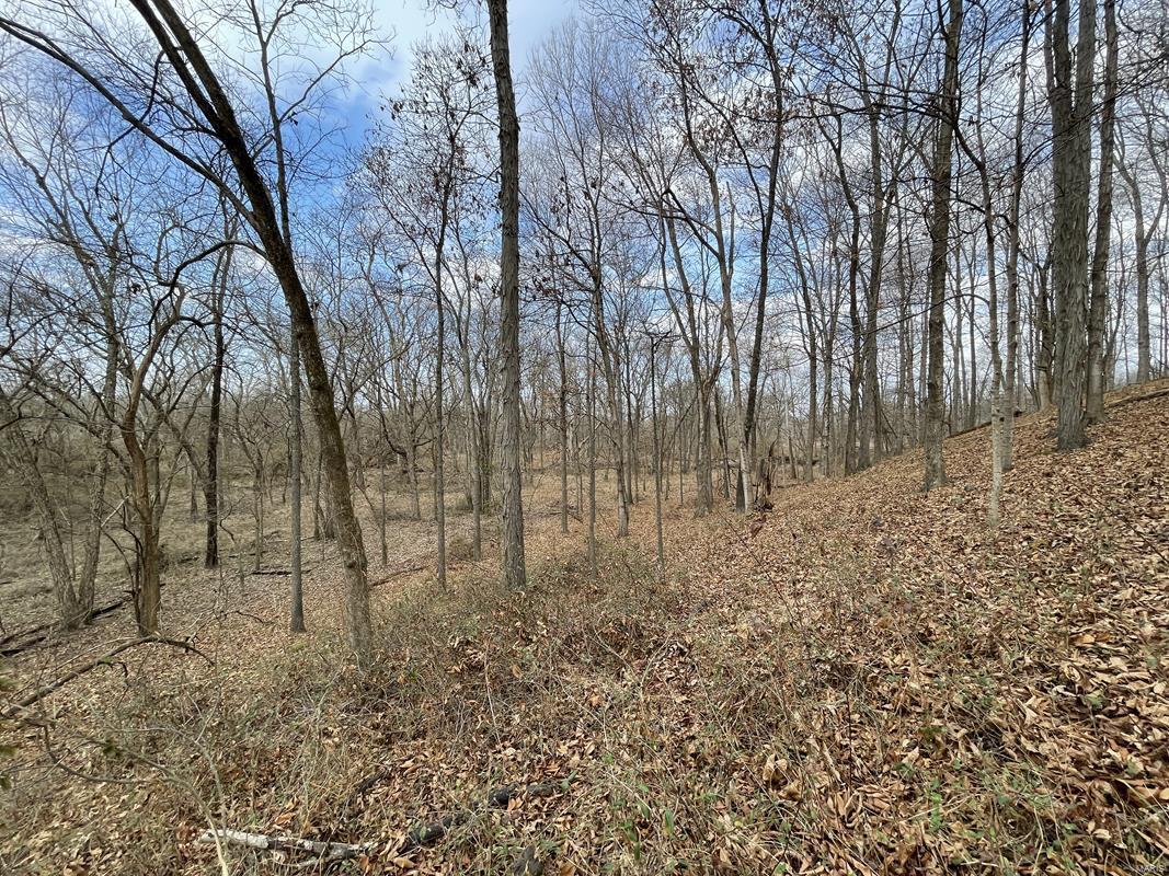 0 Blue Mound Road Rinard, IL 62878 - Photo 5 of 44
