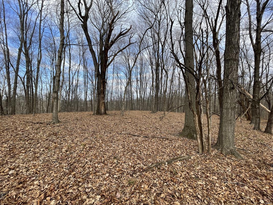 0 Blue Mound Road Rinard, IL 62878 - Photo 7 of 44