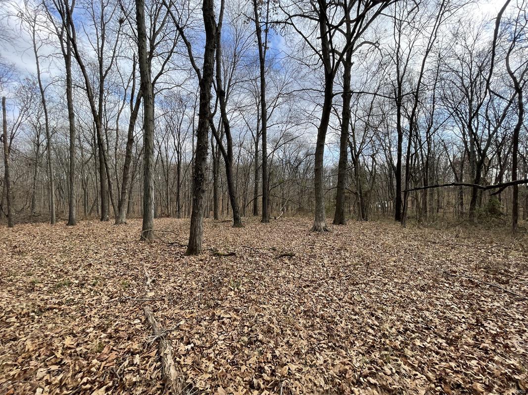 0 Blue Mound Road Rinard, IL 62878 - Photo 8 of 44