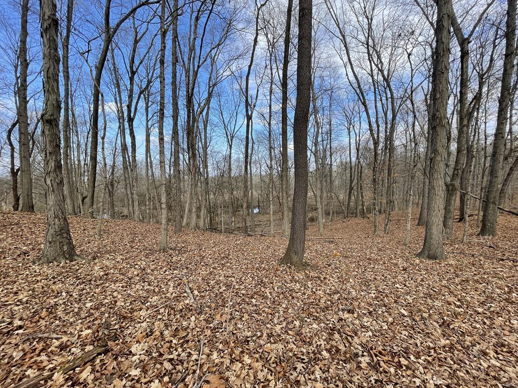 0 Blue Mound Road Rinard, IL 62878 - Photo 9 of 44