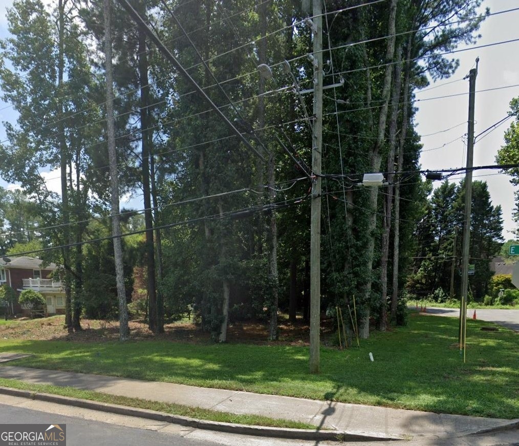 a view of a park with large trees