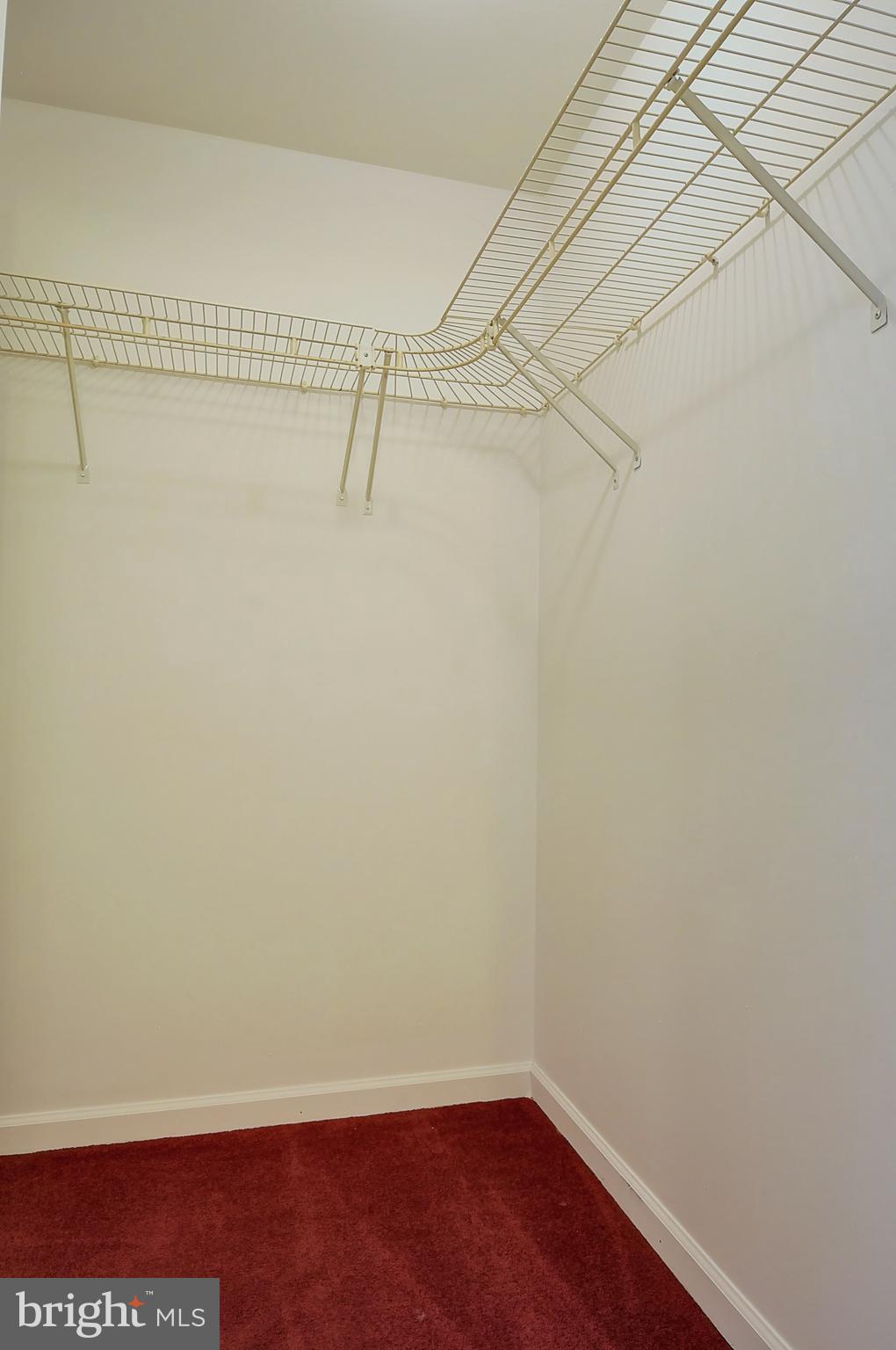 235 Peppermint Spring Lane Winchester, VA 22603 - Photo 55 of 90 a view of a room with racks on the wall