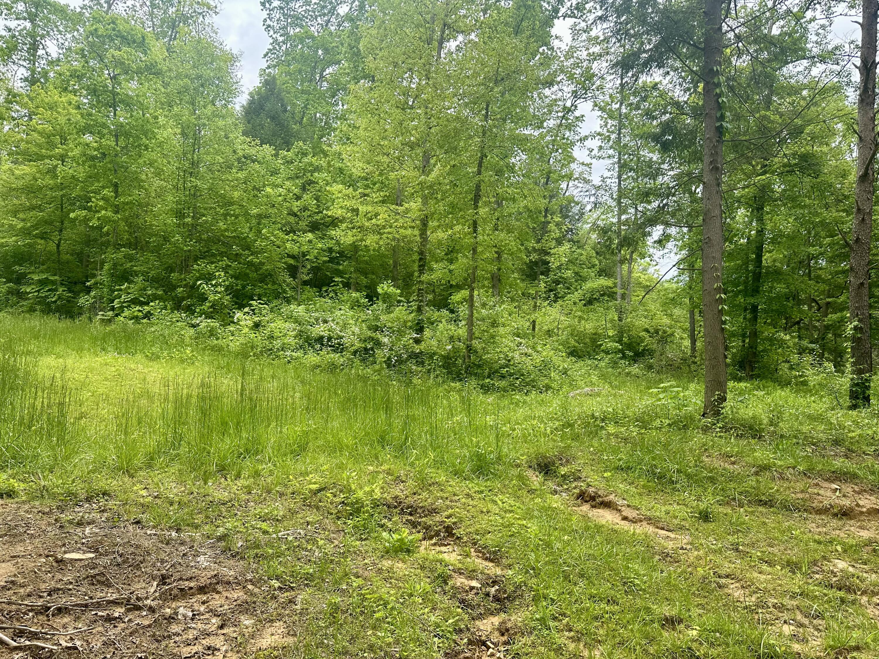 1815 Baldwin Road McKee, KY 40447 - Photo 64 of 68 IMG_0425