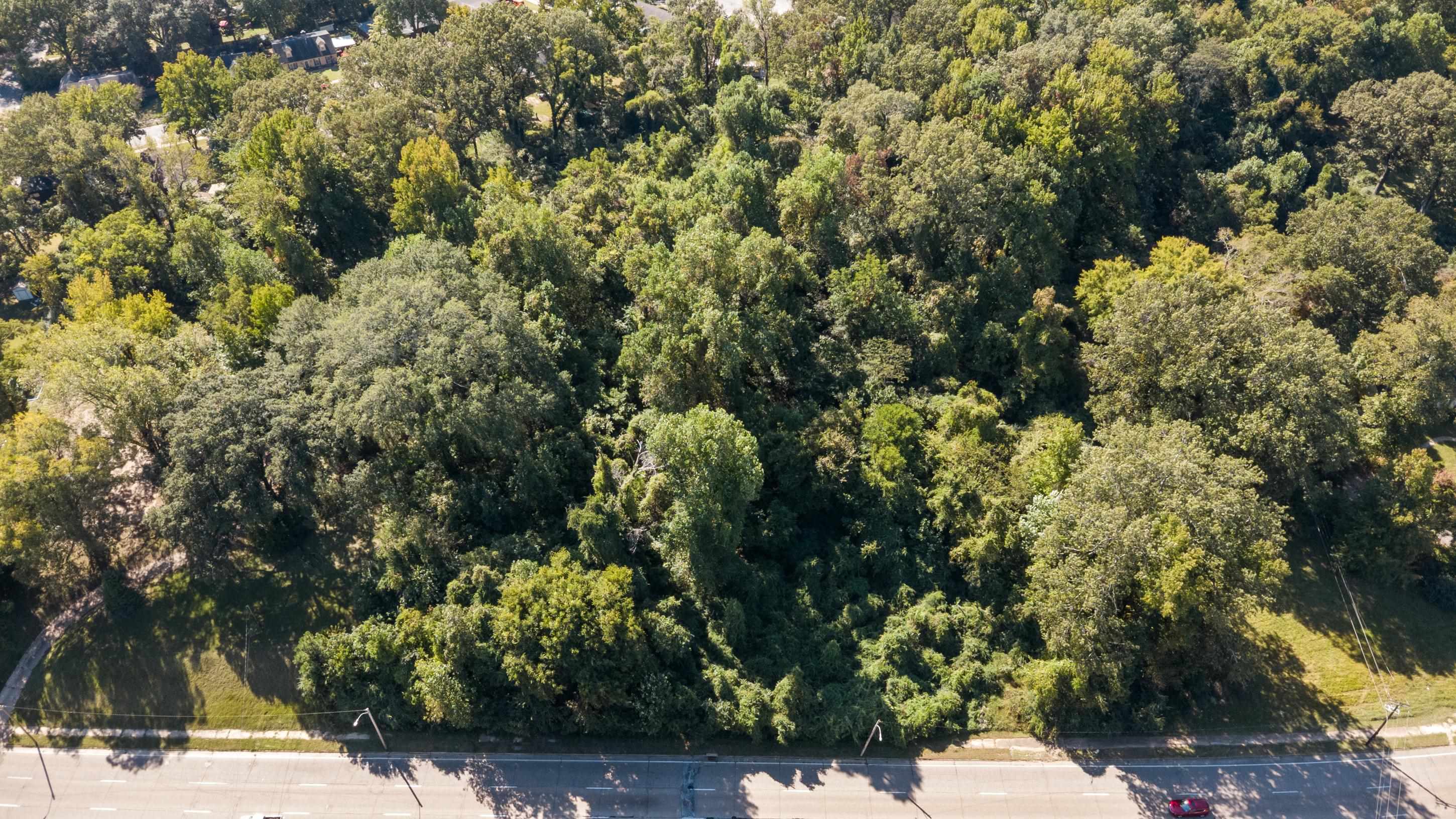 5259 Stage Road Bartlett, TN 38134 - Photo 14 of 15 a view of a yard with plants