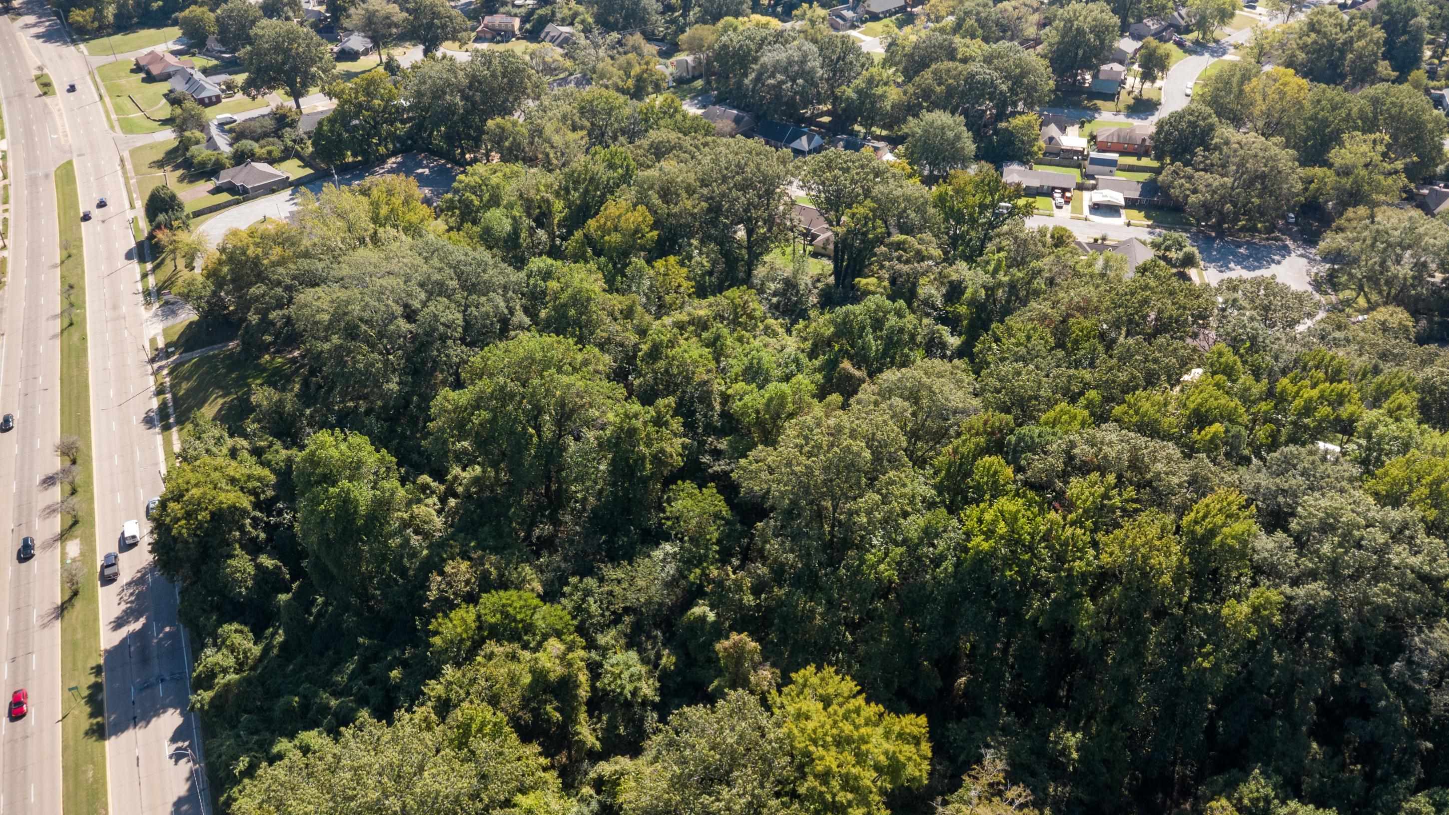 5259 Stage Road Bartlett, TN 38134 - Photo 6 of 15 a view of a house with a lush green forest